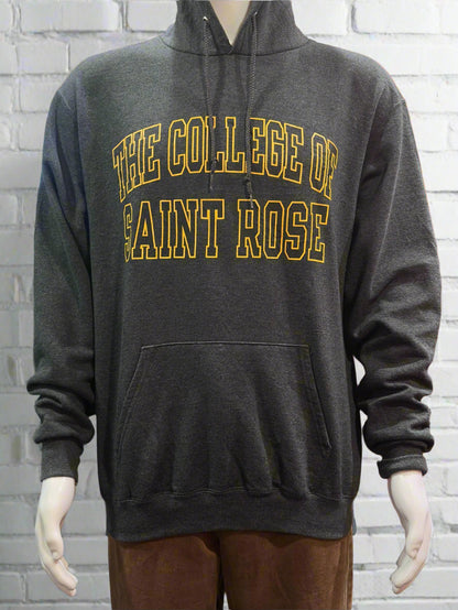 Champion College Hoodie