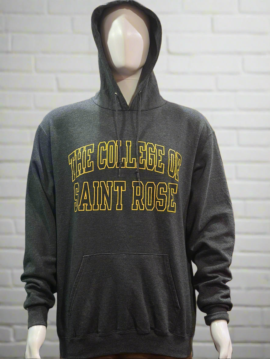 Champion College Hoodie