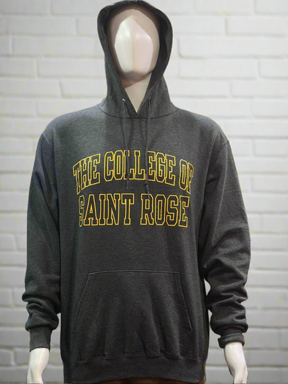 Champion College Hoodie